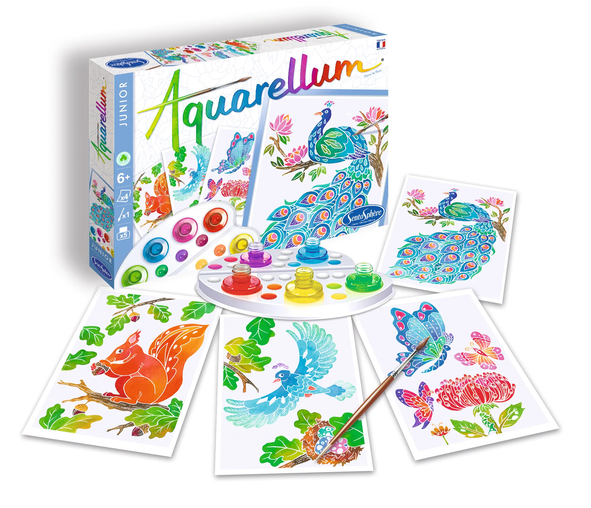 Aquarellum junior Dans le parc