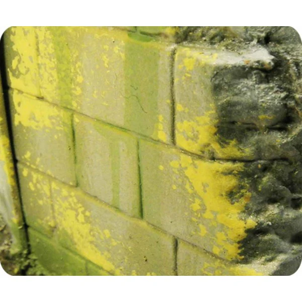 Peinture effets 40 ml : environnement moisissure et lichen - Image 2