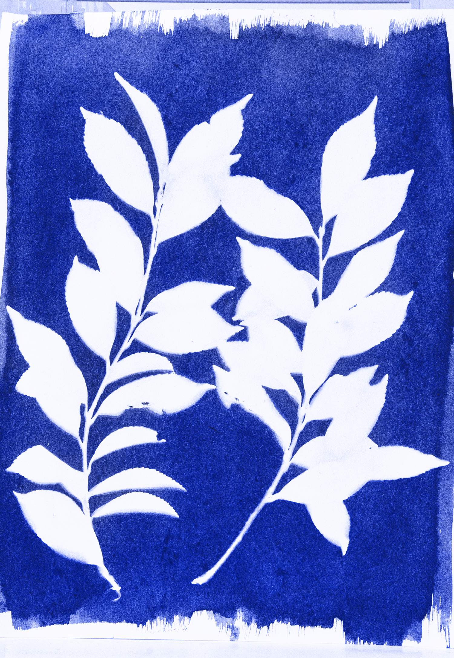 Miniature 2
