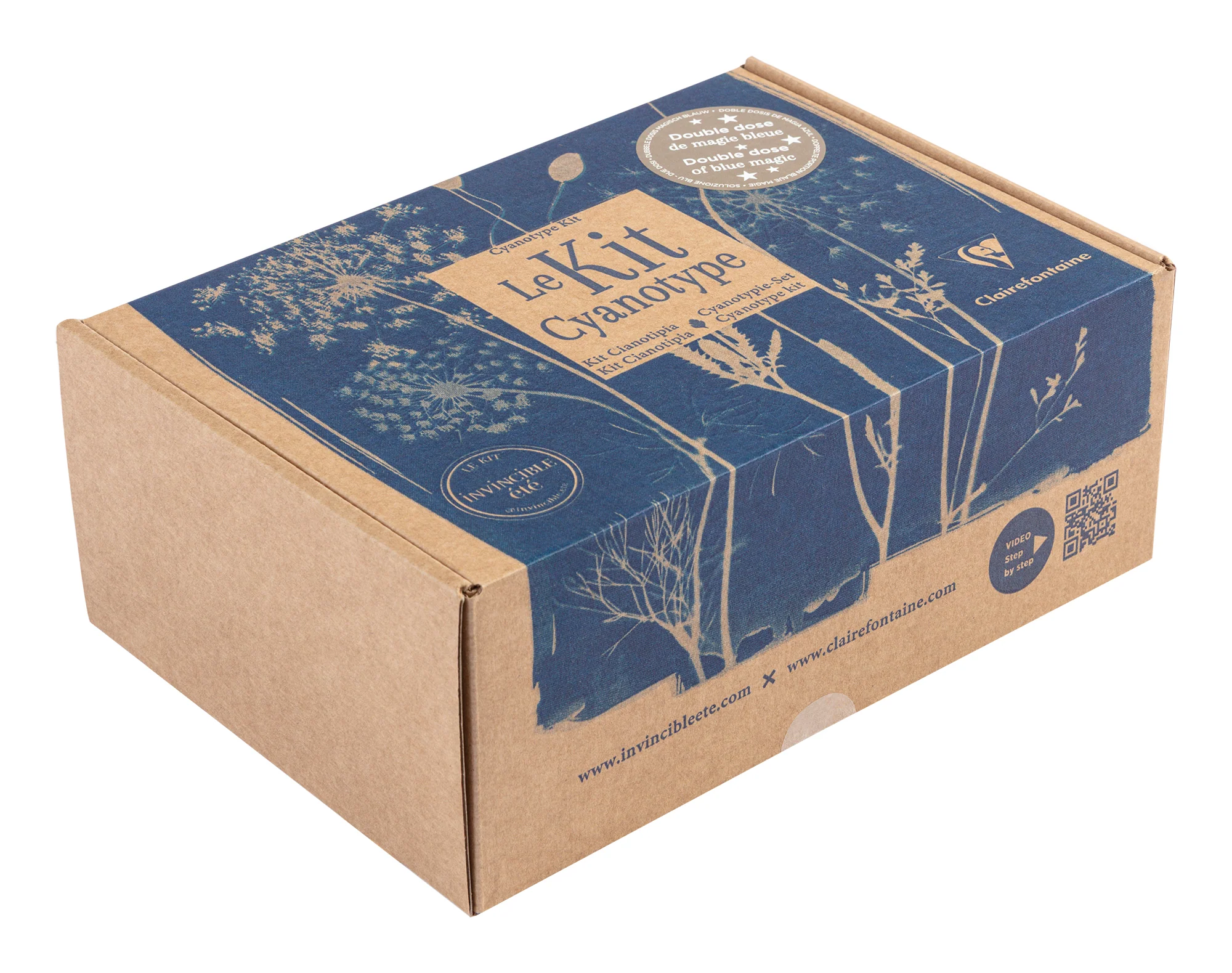 Kit cyanotype - Image 3