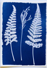 Kit Cyanotype Enjoy Art - Image 4