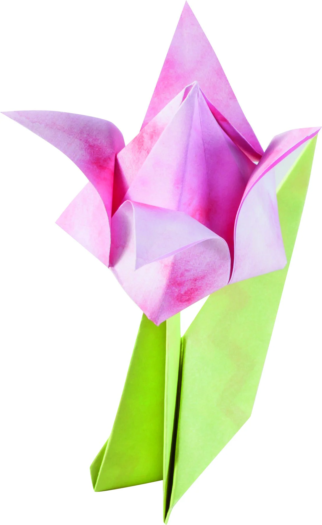 Papier de pliage thème Fleurs 170 feuilles - Image 4