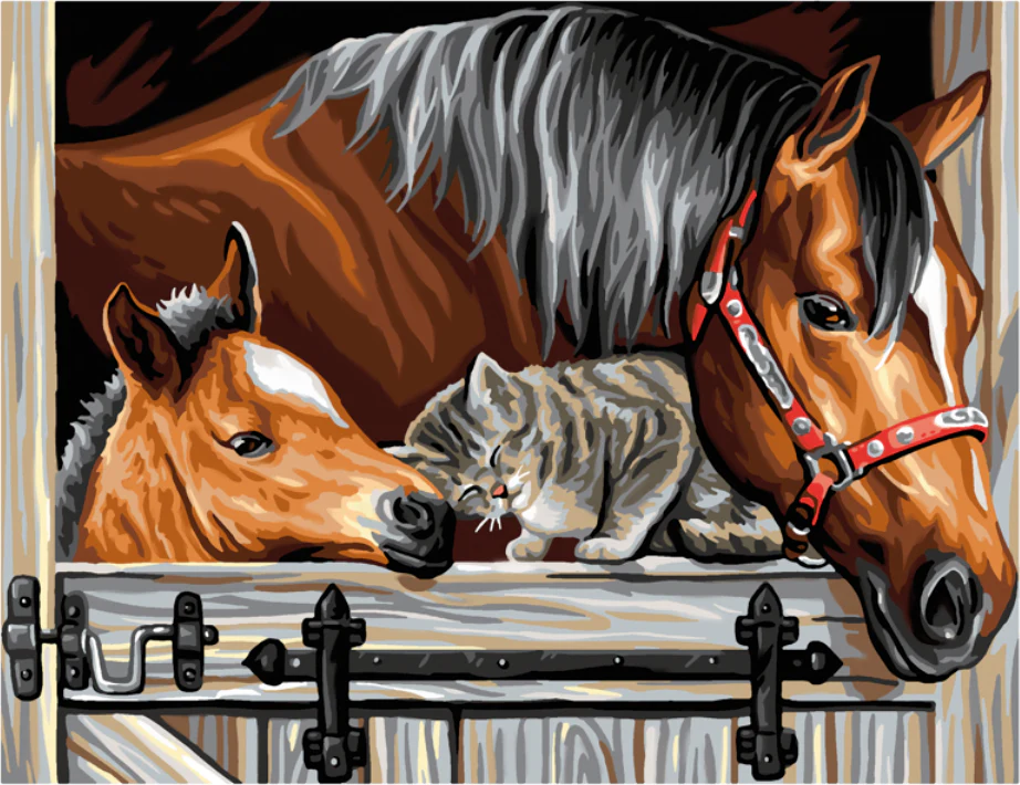 Peintures par numéro " initié" - Image 7