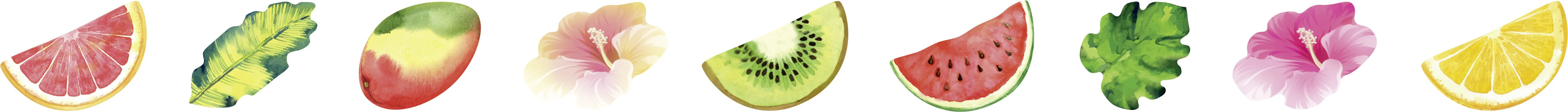 Washi Sticker Tropical - Image 3